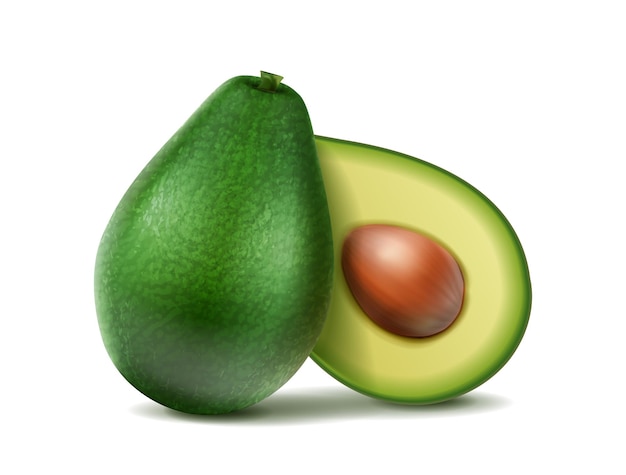 realistische vector icon set Hele groene avocado en in tweeën gesneden geïsoleerd op een witte achtergrond