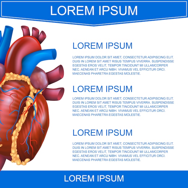 Realistische vectorillustratie medisch systeem hart