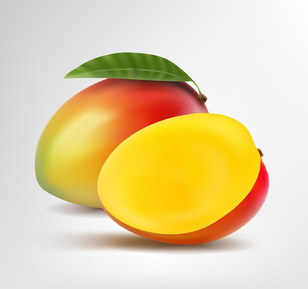 Realistische Vectormango's op een geïsoleerde achtergrond