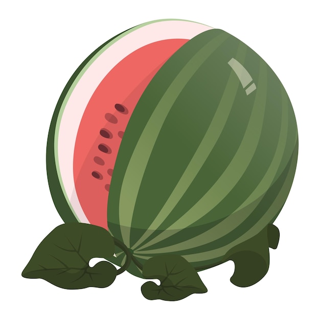 Vector realistische verse grote watermeloen geïsoleerd op een witte achtergrond vectorillustratie