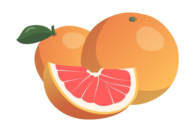 Realistische verse rijpe grapefruit geïsoleerd op een witte achtergrond vector