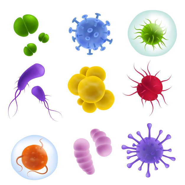 Realistische virussoorten 3d bacteriën en kiemen micro-organismen vormen en bacillus griep covid19 ziekteverwekker Biologisch wetenschappelijk laboratorium Kleurige microbiologische objecten vector geïsoleerd op witte set
