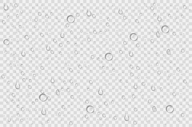 Realistische waterdruppels op een doorzichtige achtergrond