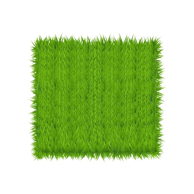 Rechthoek groen gras banner Vector achtergrond Groen grasveld Banner Voetbal Place