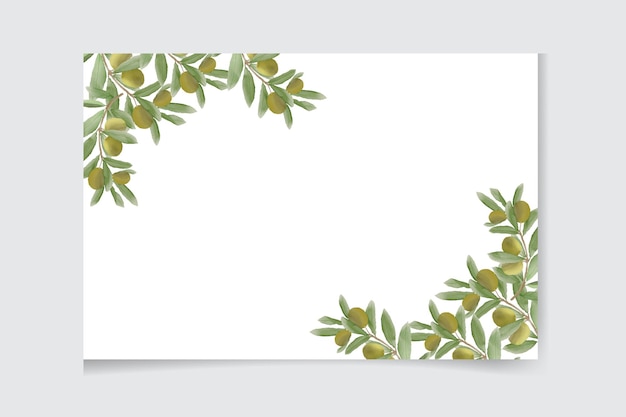 Rectangle olive branch pattern vector