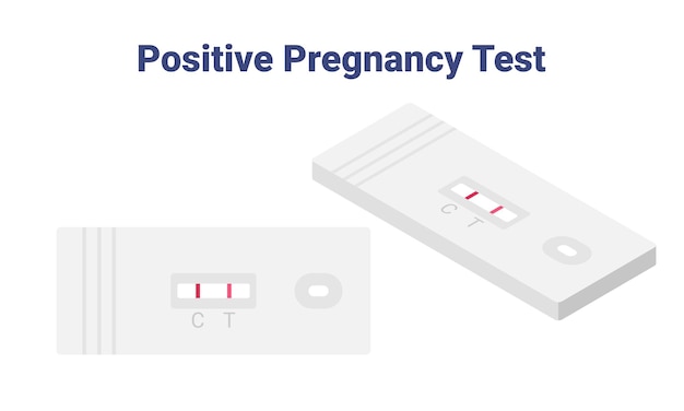 Rectangle positive pregnancy test result isometric vector illustration. Pregnancy positive test