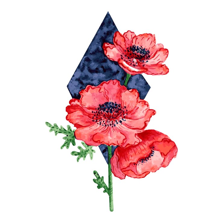 Vector red anemones flowers. poppy flowers watercolor illustration. flowers for a greeting card.