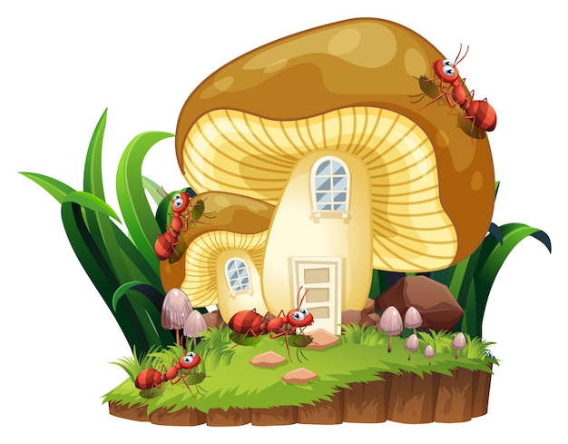 Vector red ants and mushroom house in garden