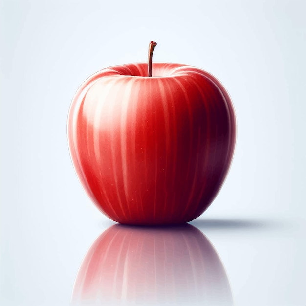 Vector red apple fruit on white background