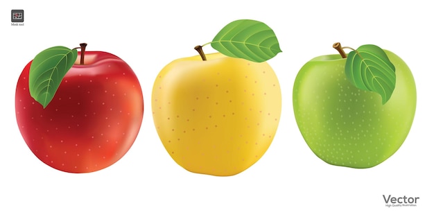 Vettore mela rossa mela verde mela fresca gialla isolata su sfondo bianco illustrazione vettoriale