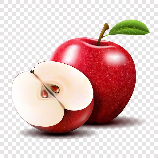 빨간 사과와 사과 절연의 절반입니다. 과일 벡터 일러스트 레이 션. 사실적인 모던 스타일