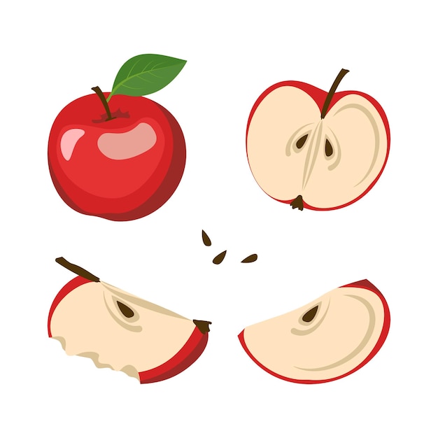 Red apple icons set. Whole fruits and halves with seeds and leaves.