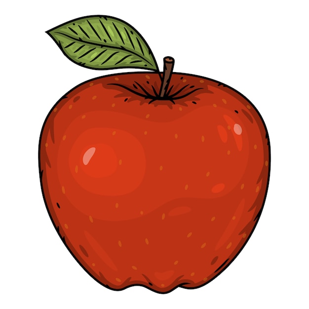Vector red apple isolated on a white background.