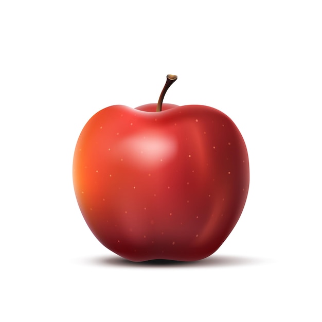 Vector red apple isolated on white.