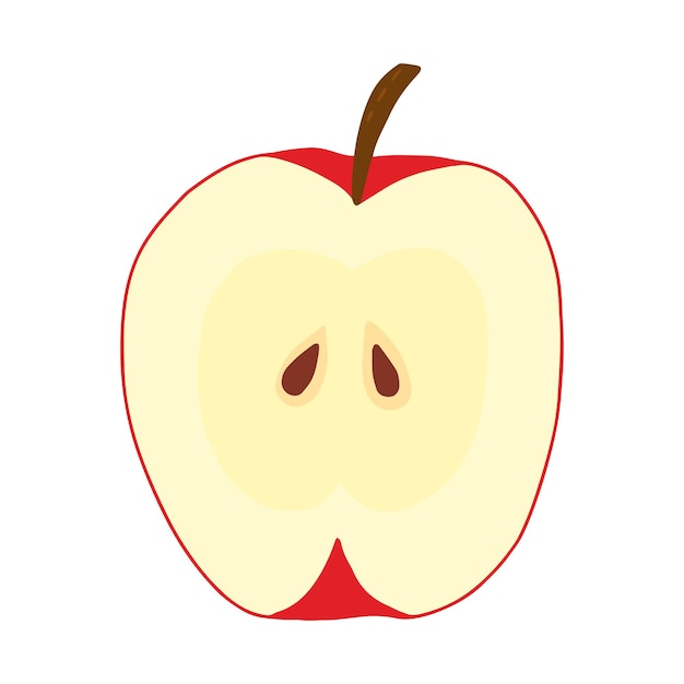 Red apple in sectior vector illustration Hand drawn apple clipart