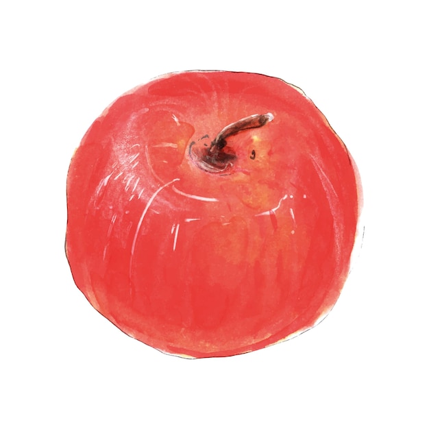 Вектор Красное яблоко акварелью картинки рисованной иллюстрации, изолированные на белом фоне
