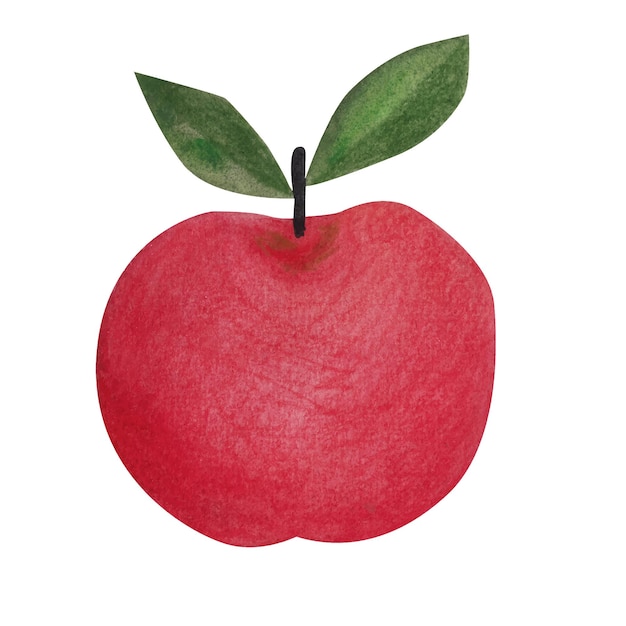 Red apple on a white background watercolor illustration
