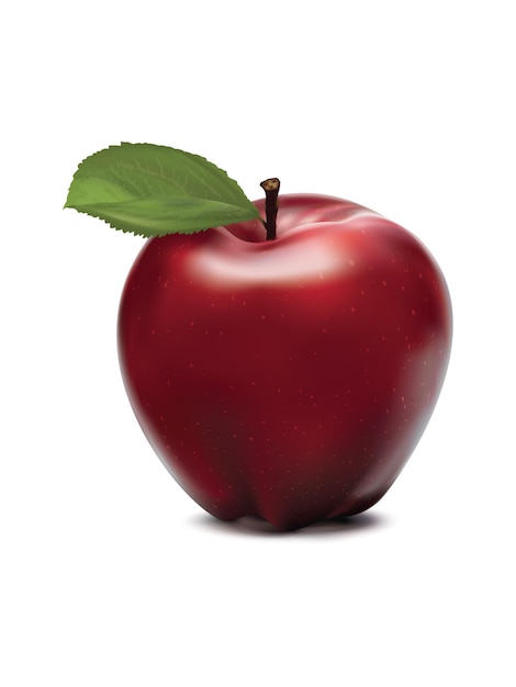 Vector red apple on white.