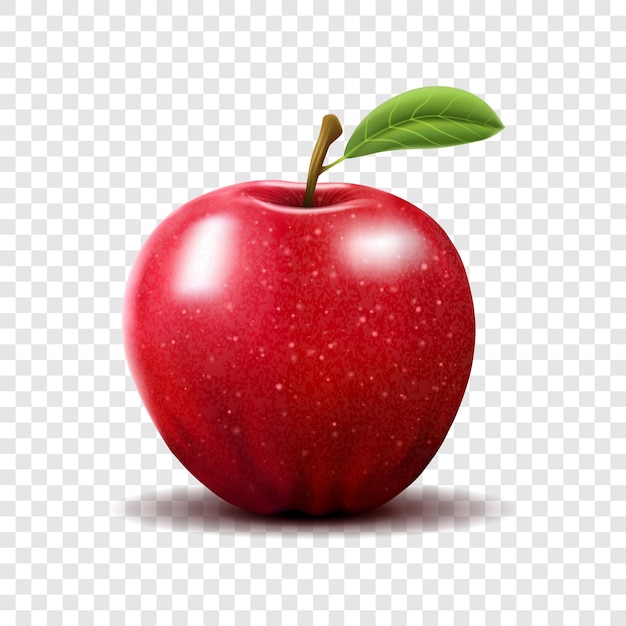 Vector red apple with green leaves on transparent background - vector illustration. realistic vector