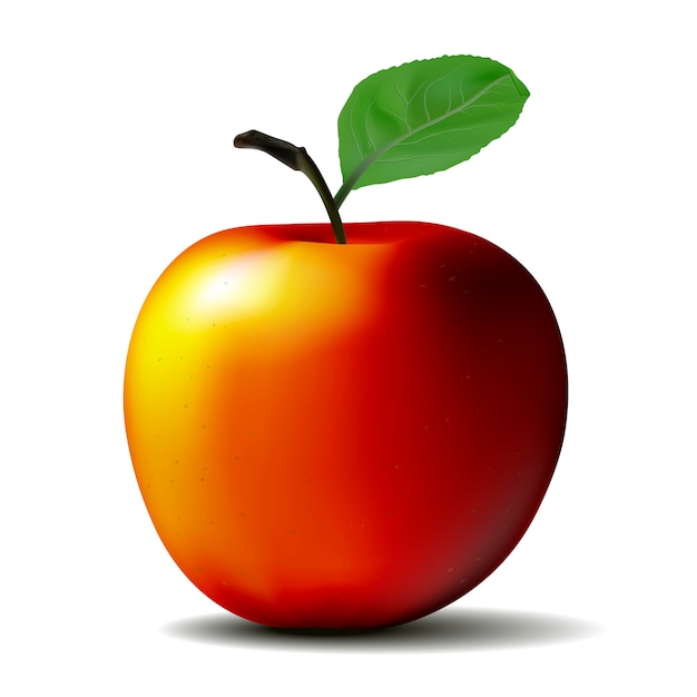 Red Apple with Green Leaves