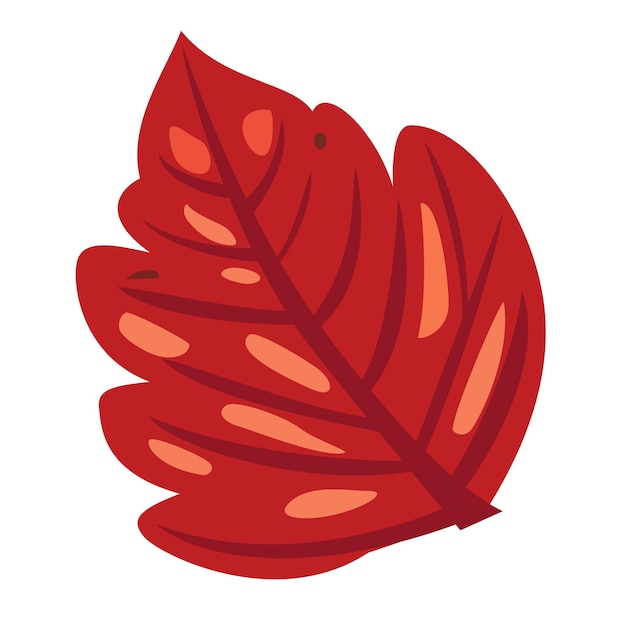 Vector red autumn leaf vector illustration eps10