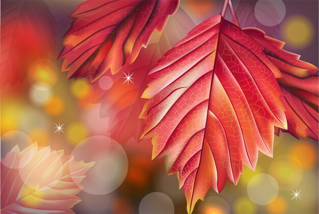 Vector red autumn leaves card