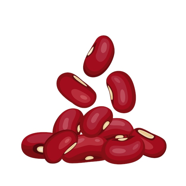 Vector red beans on a white background