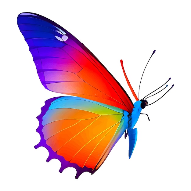 Red beauty butterfly insect icon