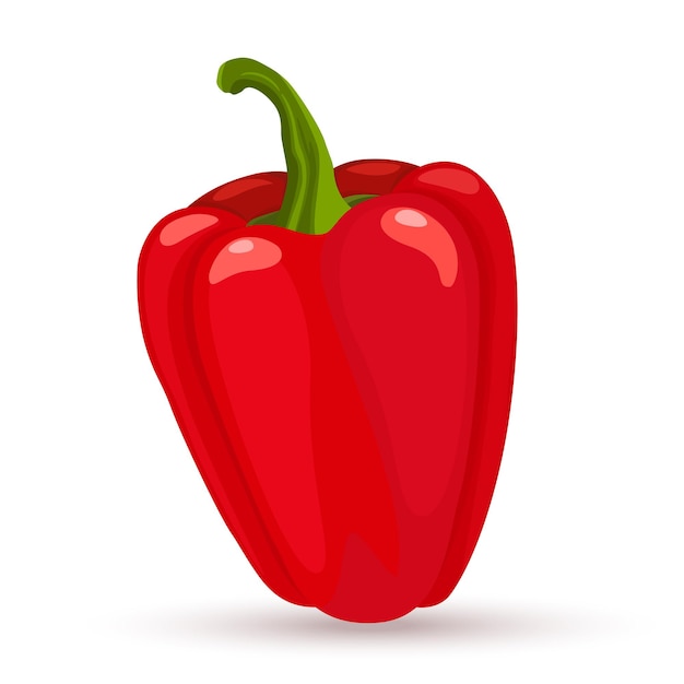 Vector red bell pepper flat style icon. sweet pepper on white background. vector fllat design illustration.