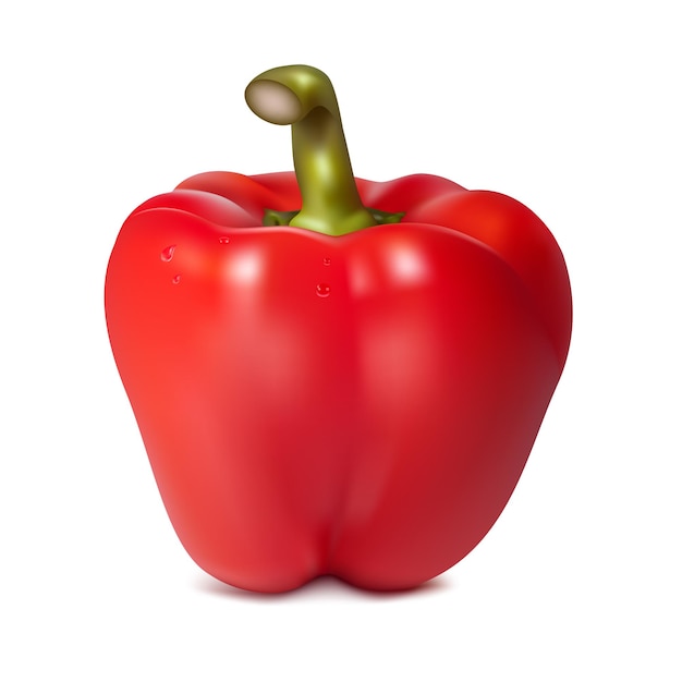 Red bell pepper Vector Illustration Creative design