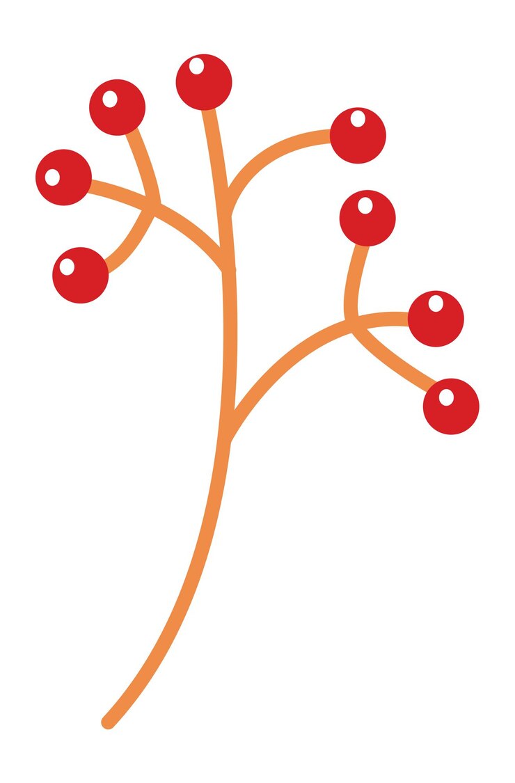 Vector red berries on brunch. rowan icon in simple modern style