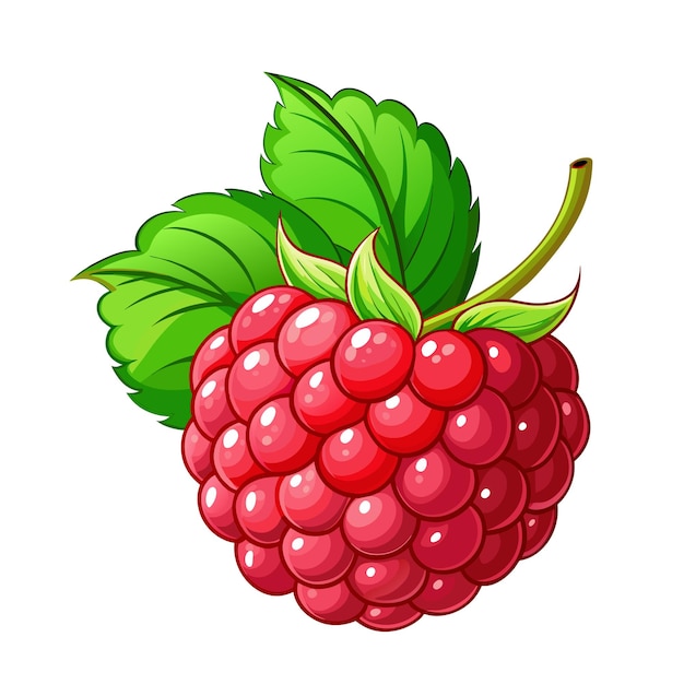 Красная ягодная сладкая икона малина на белом фоне