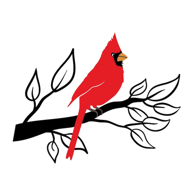 Red bird cardinal sits on branch Vector illustration Christmas Winter bird