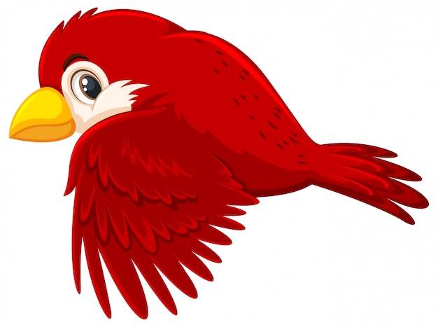 Vector a red bird flying