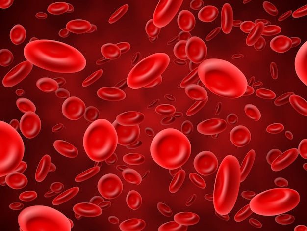 Vector red blood cells background