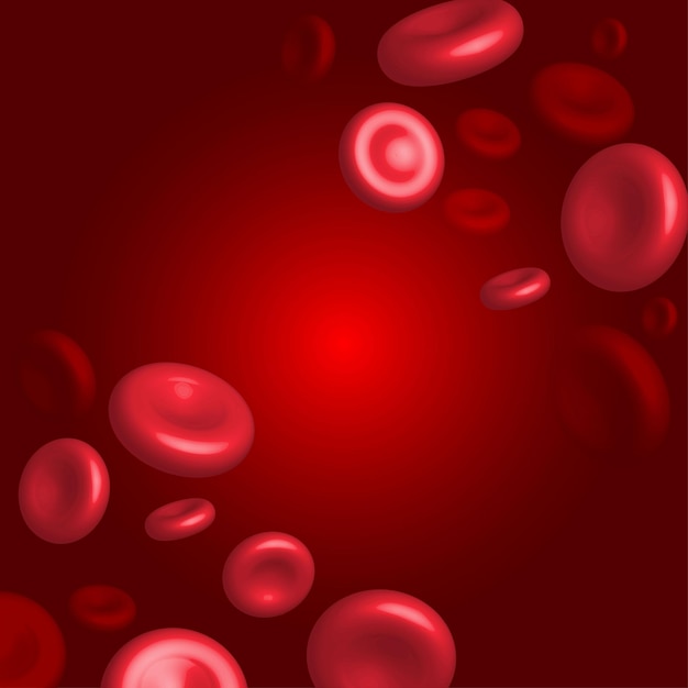 ベクトル 循環器系の医療現場における赤血球