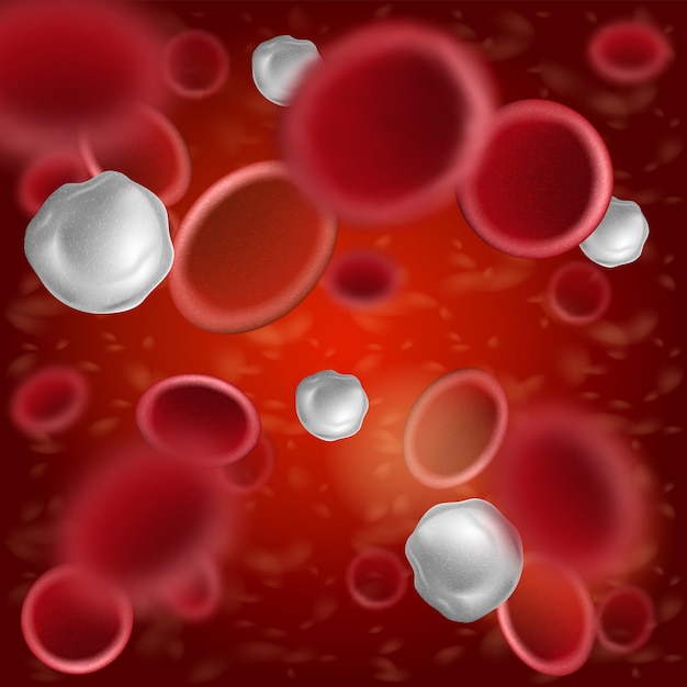 Vector red blood cells