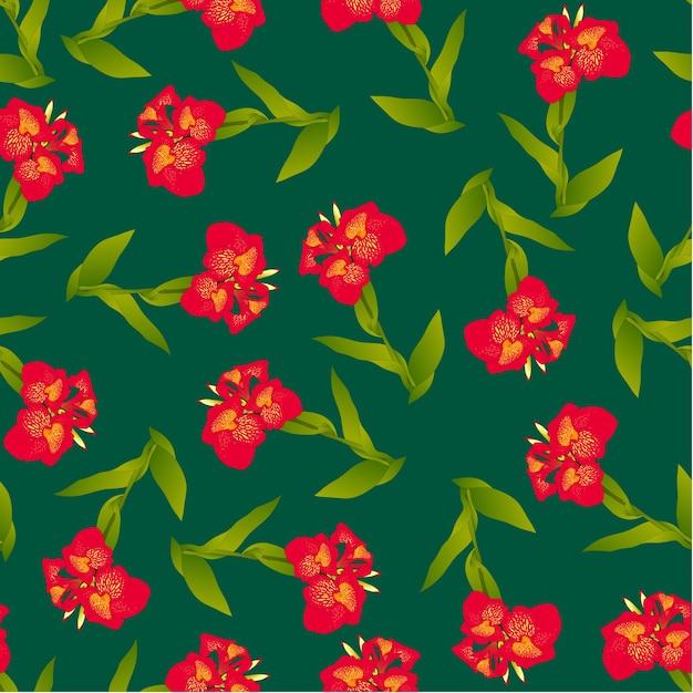 Red canna lily on green background