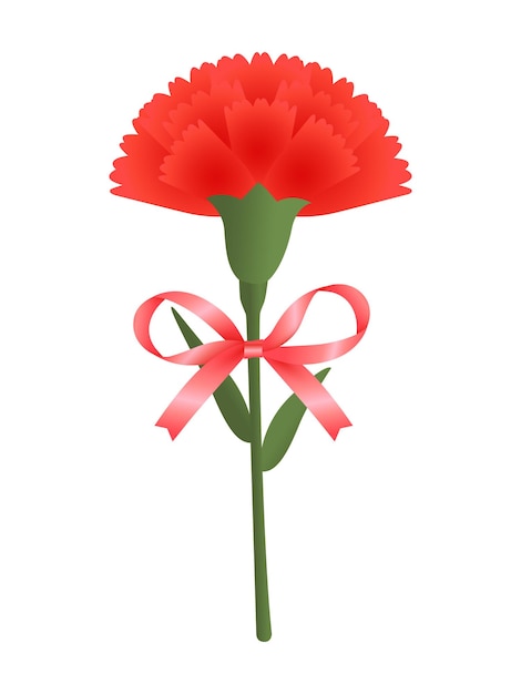 Vector a red carnation flower with a ribbon tied around it