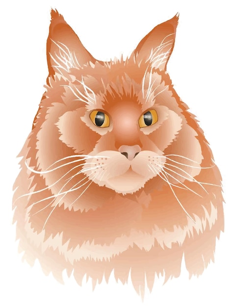 Red cat Maine Coon vector color image