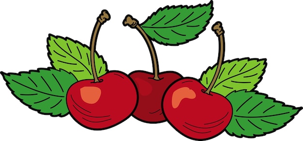 Red cherries with leaves