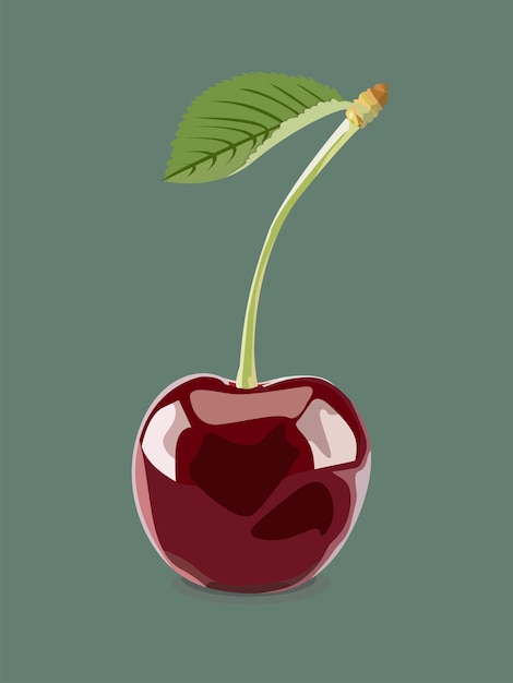 Vector red cherry on a green branch with a leaf