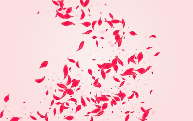 red cherry vector pink background falling rose