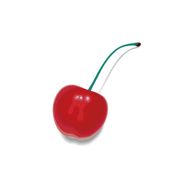 Vector red cherry on a white background vector illustration