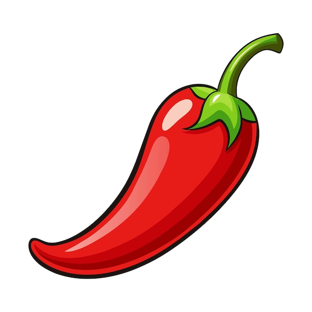 Vector red chili pepper isolated on white background