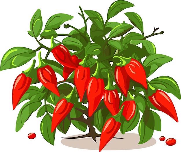 Vector red chili pepper spicy vegetables on tree vector illustration