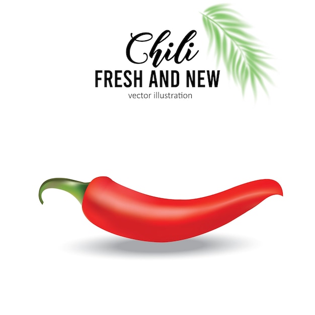 Page 44 | Red chilli chili Vectors & Illustrations for Free Download