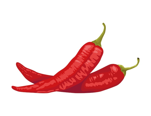 Vector red chillis hot vegetables icon