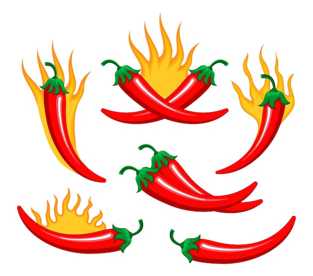 Vector red chilly peppers are burning as spicy sign cartoon vector isolated on the white background hot chillies in fire for food logo banner flyer