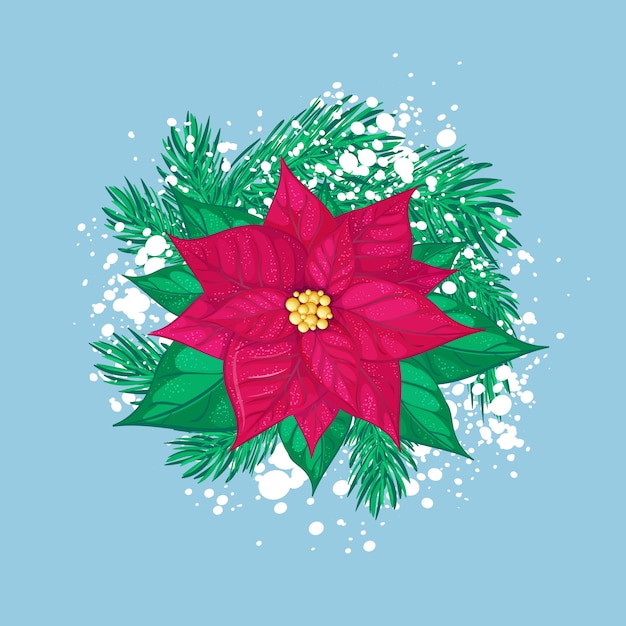 Vector red christmas poinsettia with christmas tree branches and white snow. isolated holiday composition.